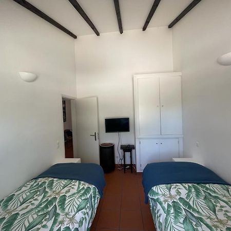 Casa Das Oliveiras Aviz Bagian luar foto