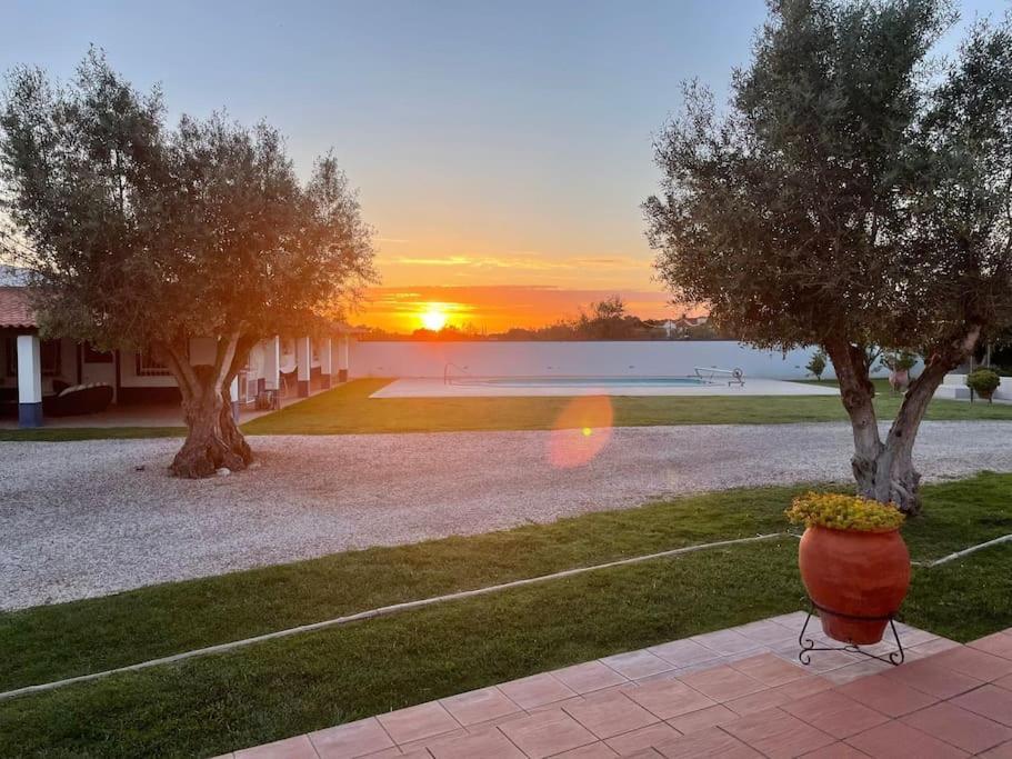 Casa Das Oliveiras Aviz Bagian luar foto