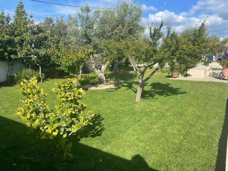 Casa Das Oliveiras Aviz Bagian luar foto