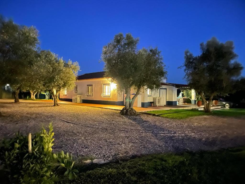 Casa Das Oliveiras Aviz Bagian luar foto