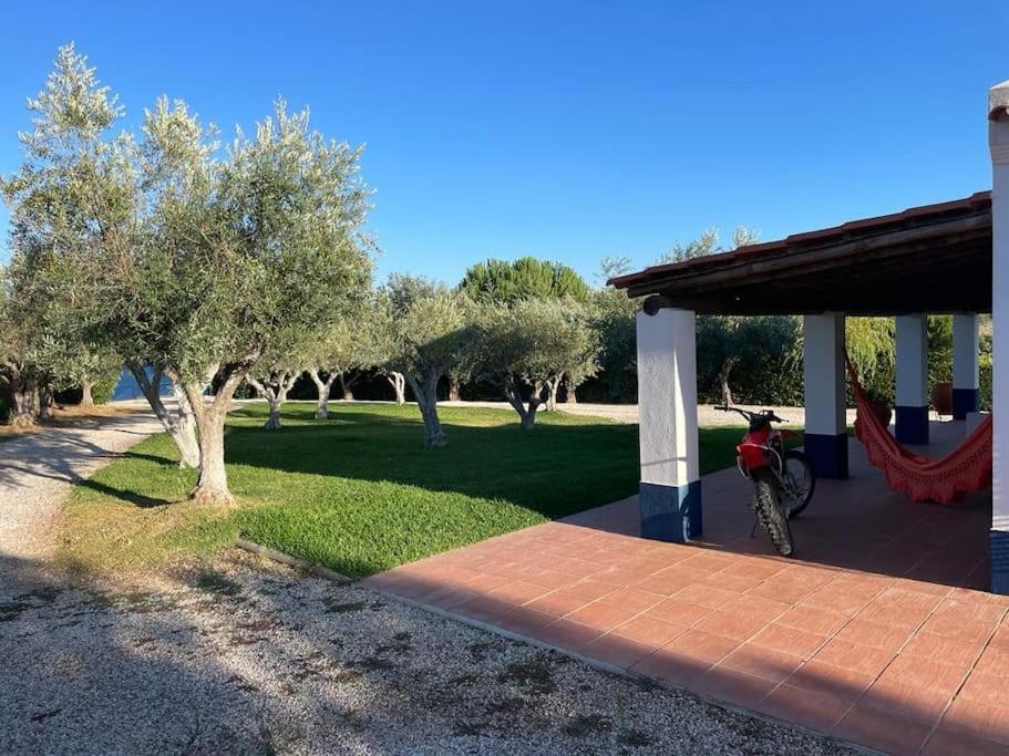 Casa Das Oliveiras Aviz Bagian luar foto