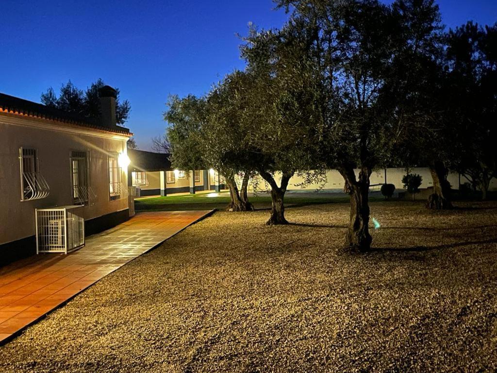 Casa Das Oliveiras Aviz Bagian luar foto