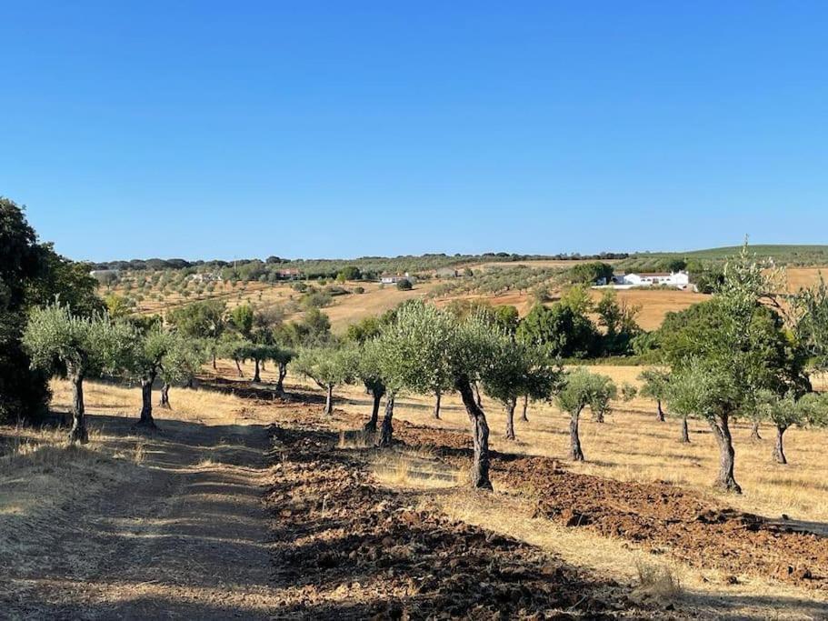 Casa Das Oliveiras Aviz Bagian luar foto